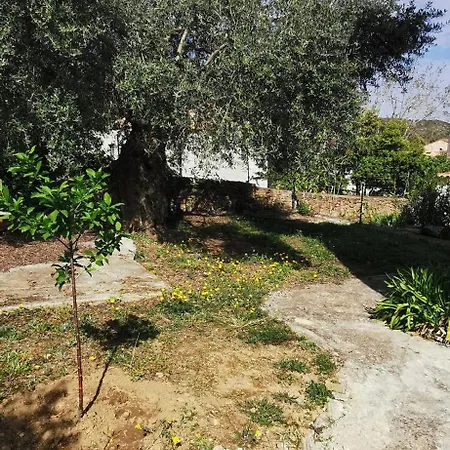 Apartmán T3 Entre Et Montagne Avec Beau Jardin *