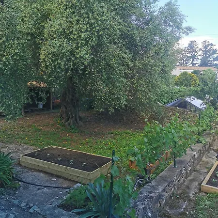 T3 Entre Et Montagne Avec Beau Jardin * Calenzana